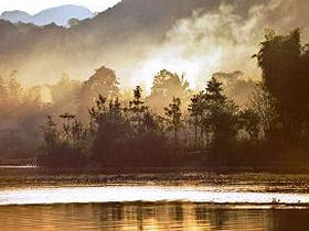 Laos tour, river and forest